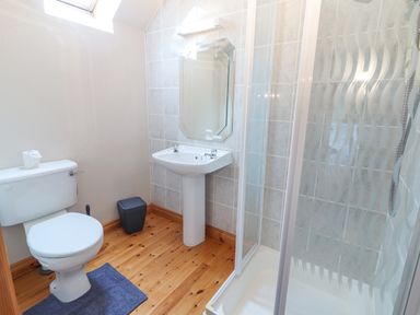 A bathroom with a toilet a sink a mirror a shower and a blue rug on a wooden floor at Cloughoge House Kilrush County Clare
