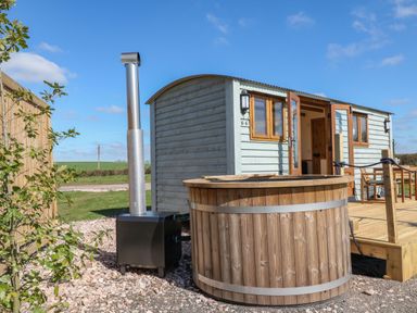 An outdoor wooden hot tub and a light blue wooden cabin with open doors and windows at Buzzards in Morchard Bishop