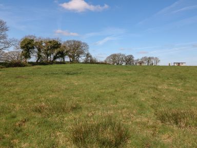 A grassy field with sparse bushes and trees in the background and two small buildings under a blue sky at Buzzards in Morchard Bishop