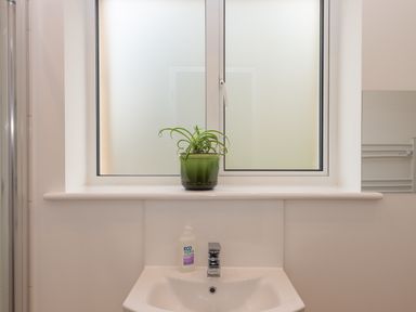 A bathroom sink with a green potted plant on the windowsill at Narracott Down in South Molton