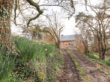 A dirt driveway leading to a house surrounded by trees and flowers at Narracott Down in South Molton