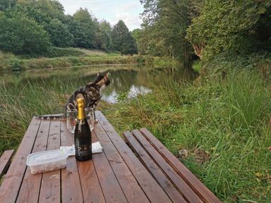 A cat sitting on a wooden picnic table with a bottle and two glasses near a pond surrounded by trees at Narracott Down in South Molton