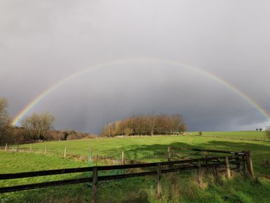 A green field with trees and a wooden fence under a rainbow at Narracott Down in South Molton