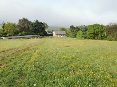 A field with yellow flowers and a dirt path leading to buildings and trees at Narracott Down South Molton