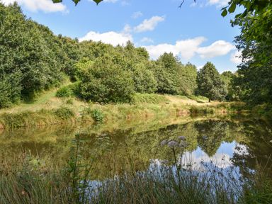 A pond surrounded by trees and grassy banks at Narracott Down in South Molton