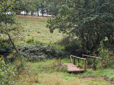 A wooden footbridge in a grassy area surrounded by trees and shrubs at Narracott Down in South Molton
