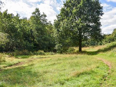 A grassy field with a large tree and a small wooden bridge in a forested area at Narracott Down in South Molton