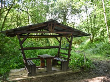 A wooden shelter with benches and a table in a forest at Narracott Down in South Molton
