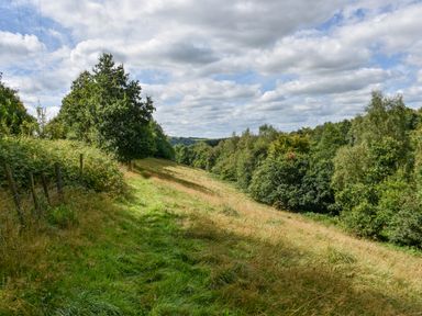 A grassy field with trees and bushes under a partly cloudy sky at Narracott Down in South Molton