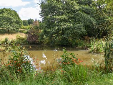 A pond surrounded by trees and plants with orange flowers at Narracott Down in South Molton