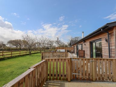 A wooden fenced patio area with a grassy lawn and trees beside a wooden building at Strawberry Bank - Nuthatch in Pyworthy near Bridgerule