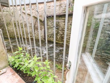 A window looking out to a small river with metal bars and a stone wall with plants growing at Riverdance Cottage in Lyme Regis