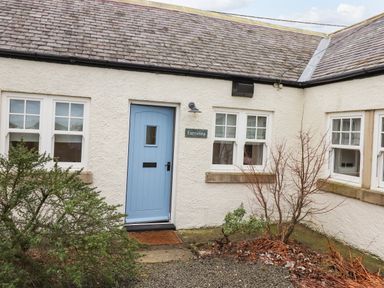 A cottage exterior with a blue door and white walls with bushes in front at Farnelea West Fleetham near Seahouses