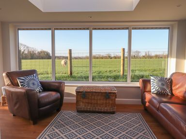 A room with two leather chairs a woven chest and a large window overlooking a field with a sheep at Farnelea West Fleetham near Seahouses