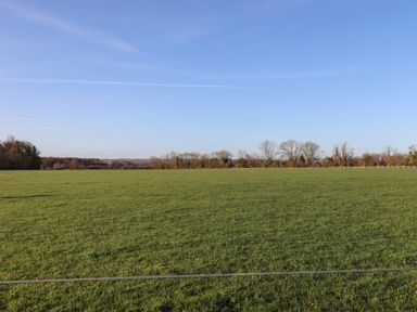 A green grassy field with trees along the horizon under a clear blue sky at Farnelea in West Fleetham near Seahouses