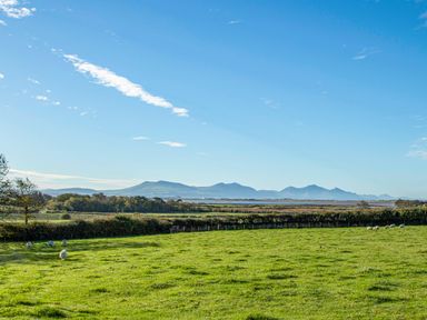 A green field with sheep and trees with mountains in the background at Cae Ffynnon Star near Gaerwen