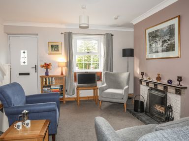 A living room with armchairs a fireplace a small television window and a bookcase at Ty Eiddew Ivy House Llanystumdwy near Criccieth