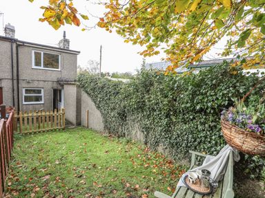 A small fenced garden with green grass and fallen leaves next to a two-story house covered with ivy at Ty Eiddew in Llanystumdwy near Criccieth