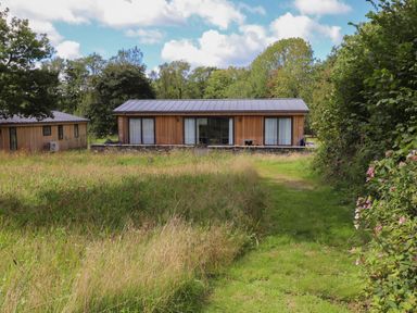 A wooden cabin with large windows and a metal roof surrounded by grass and trees at Corning Mill View in Haverthwaite