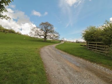 A rural gravel road winding through green fields with a large tree and a wooden fence at Sheep Cote Shepherds Hut in Chop Gate near Stokesley