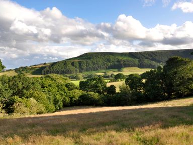 A landscape with grassy fields and trees under a partly cloudy sky at Sheep Cote Shepherds Hut in Chop Gate near Stokesley