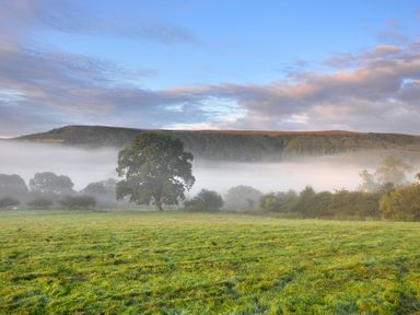 A grassy field with trees and fog with hills and a cloudy sky at Sheep Cote Shepherds Hut Chop Gate near Stokesley