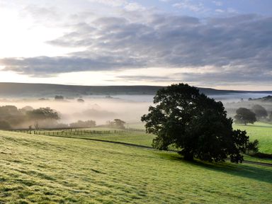 A misty countryside landscape with green fields and trees at Sheep Cote Shepherds Hut in Chop Gate near Stokesley