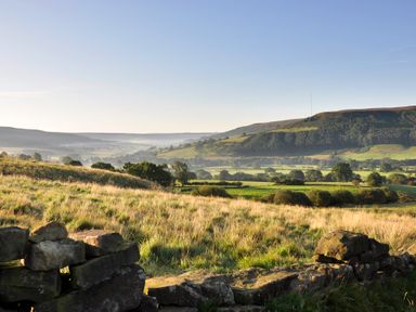 A countryside landscape with fields trees hills and a stone wall at Sheep Cote Shepherds Hut in Chop Gate near Stokesley
