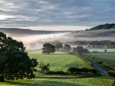 A rural landscape with fields, trees, sheep, a road, and mist in the valley at Sheep Cote Shepherds Hut in Chop Gate near Stokesley