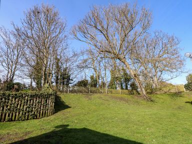 A grassy garden area with leafless trees and wooden fences under a clear blue sky at 8 Royal Chalet Park in Mundesley