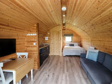 A wooden cabin interior with a bed at the far end a kitchen area a dining table with chairs a couch and a wall-mounted TV at Cleugh Lodge in Lockerbie