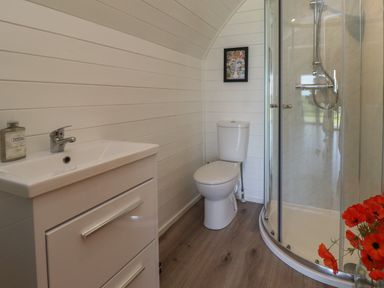 A bathroom with a sink, toilet, glass shower enclosure, and red flowers at Cleugh Lodge in Lockerbie