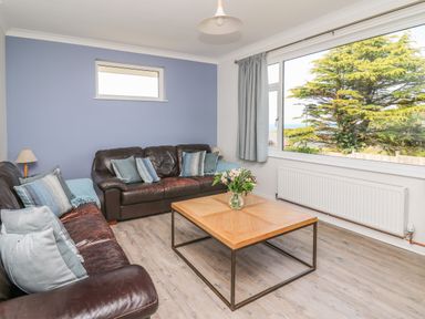A living room with two brown leather sofas a wooden coffee table with flowers and a large window showing a tree at Bryn Alaw in Newport Pembrokeshire