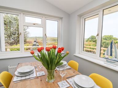 A dining table with yellow chairs red tulips in a vase and table settings in a room with windows showing outdoor view at Bryn Alaw in Newport Pembrokeshire