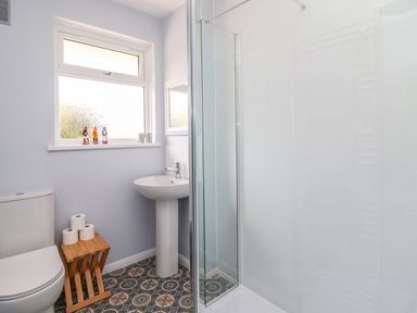 A bathroom with a toilet, a pedestal sink, a shower with glass doors, a wooden stand with toilet paper rolls, and a window with figurines on the sill at Bryn Alaw in Newport Pembrokeshire