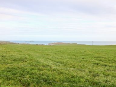 A grassy field with a view of the sea and small islands in the distance at Ballycahane Castletownshend County Cork