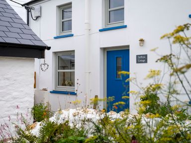 The exterior of a white cottage with a blue door and two windows with blue trim and a garden in the foreground at Dyffryn Cottage in Aberporth