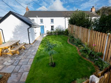 A backyard with a green lawn two small trees a wooden picnic table and a paved walkway next to a white house with a blue door at Dyffryn Cottage in Aberporth