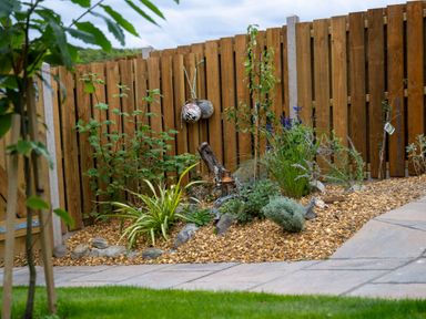 A garden area with various plants and gravel bordered by a wooden fence at Dyffryn Cottage in Aberporth