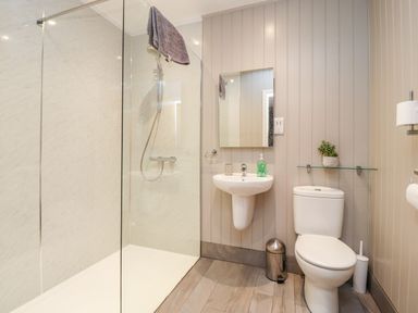 A bathroom with a walk-in shower sink mirror toilet and small shelf with a plant at Beech Lodge in Goosnargh