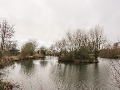 A lake with leafless trees and shrubs around and small grassy banks at Beech Lodge in Goosnargh