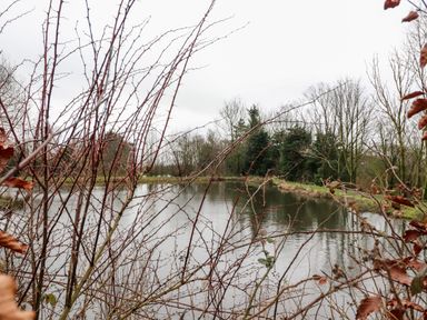 A lake with leafless bushes in the foreground and trees in the background at Beech Lodge in Goosnargh
