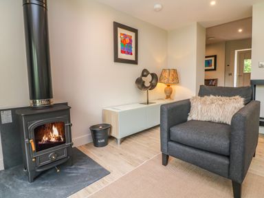 A living area with a wood burning stove a gray armchair and a sideboard with a lamp and decorative sculpture at Court Lodge in Bathealton near Wiveliscombe