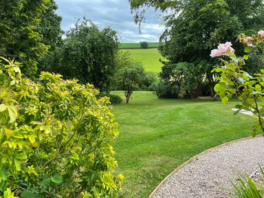A garden with green grass trees and bushes with a gravel path at Court Lodge Bathealton near Wiveliscombe