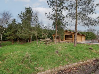 A wooden cabin surrounded by trees on a grassy area at Redwood Lodge in Ellesmere