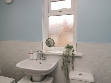 A bathroom sink with soap dispensers and a small mirror by a frosted window with a hanging plant at Cosy Cottage in Amble
