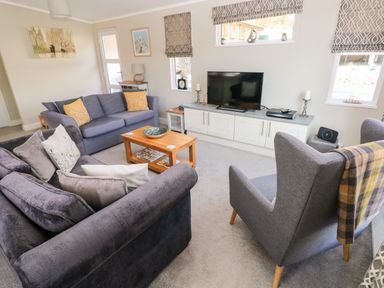 A living room with grey sofas a wooden coffee table a television on a white cabinet and patterned window blinds at Lodge 53 Stepaside near Kilgetty