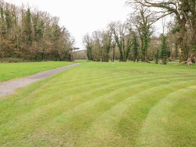 A grassy field with a gravel path and trees in the background at Lodge 53 Stepaside near Kilgetty