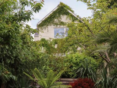 A house with plants and trees covering its wall and garden at Sea View in St Austell