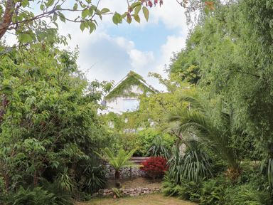 A house covered with ivy and surrounded by various green plants and trees at Sea View in St Austell